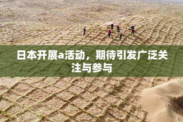 日本开展a活动，期待引发广泛关注与参与