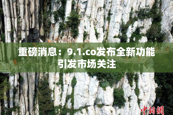 重磅消息：9.1.co发布全新功能引发市场关注