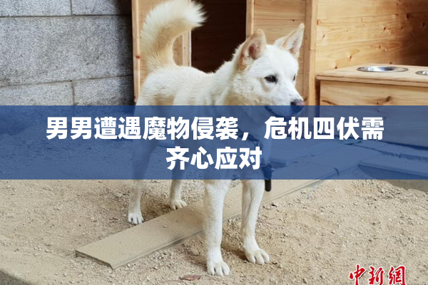 男男遭遇魔物侵袭，危机四伏需齐心应对