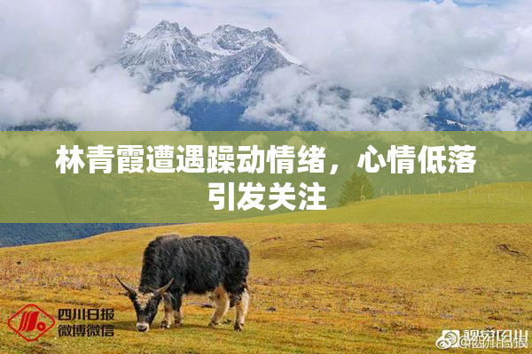 林青霞遭遇躁动情绪，心情低落引发关注