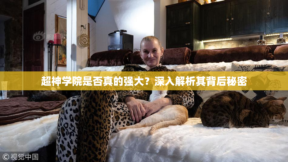 超神学院是否真的强大？深入解析其背后秘密