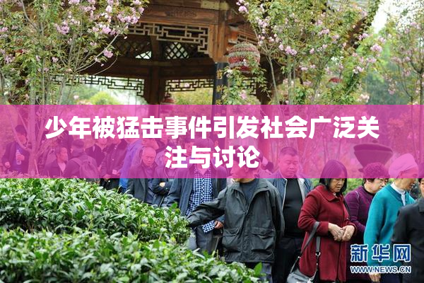 少年被猛击事件引发社会广泛关注与讨论