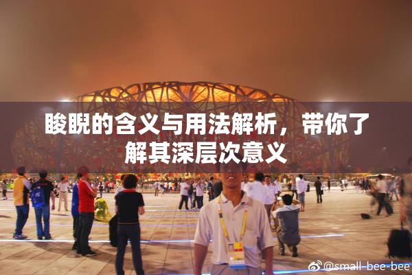 睃睨的含义与用法解析，带你了解其深层次意义