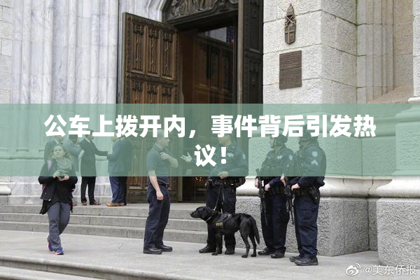 公车上拨开内，事件背后引发热议！