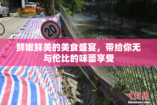 鲜嫩鲜美的美食盛宴，带给你无与伦比的味蕾享受