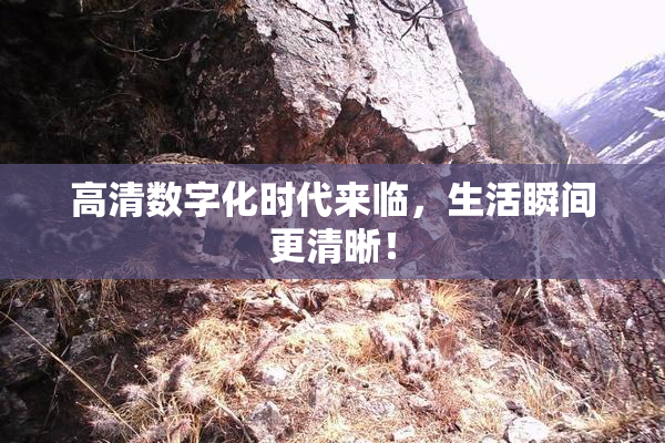 高清数字化时代来临，生活瞬间更清晰！