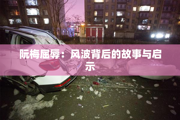 阮梅屈辱：风波背后的故事与启示