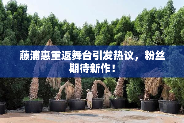 藤浦惠重返舞台引发热议，粉丝期待新作！
