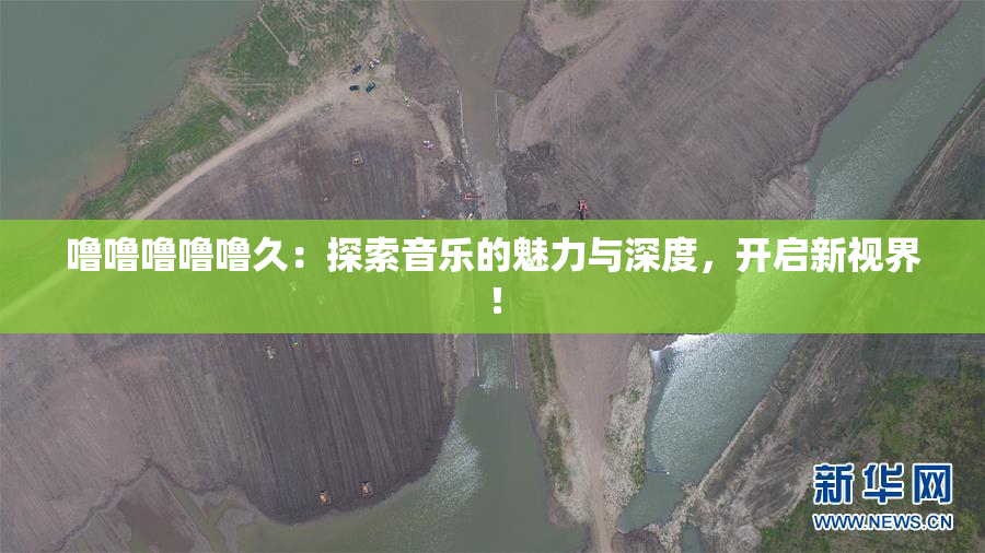 噜噜噜噜噜久：探索音乐的魅力与深度，开启新视界！