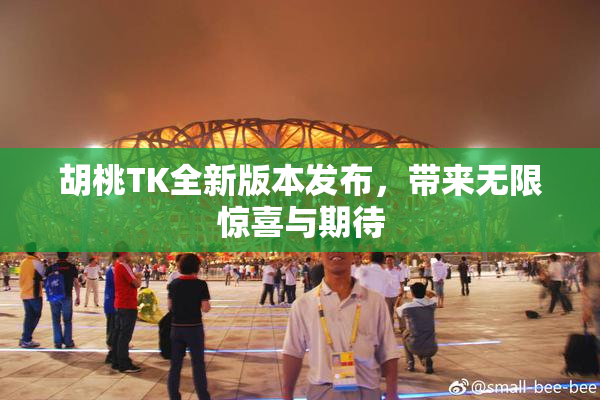 胡桃TK全新版本发布，带来无限惊喜与期待