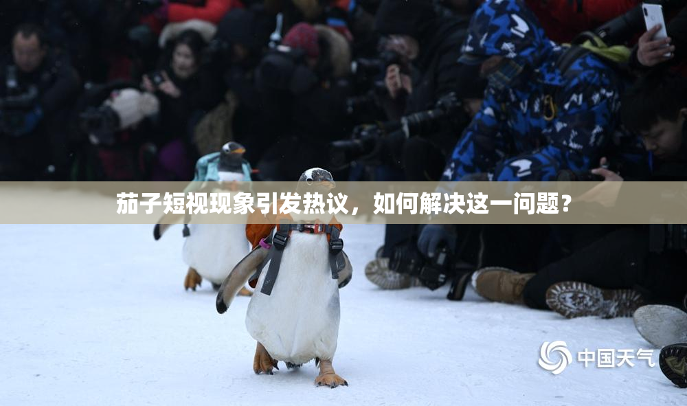 茄子短视现象引发热议，如何解决这一问题？
