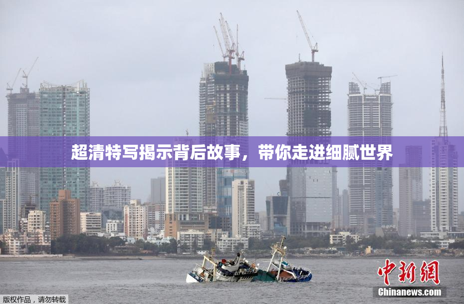 超清特写揭示背后故事，带你走进细腻世界