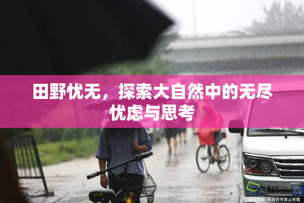 田野忧无，探索大自然中的无尽忧虑与思考