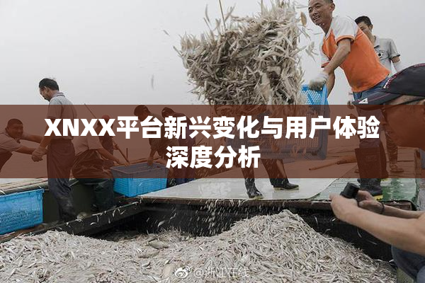 XNXX平台新兴变化与用户体验深度分析