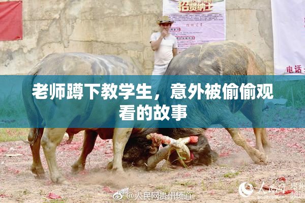 老师蹲下教学生，意外被偷偷观看的故事