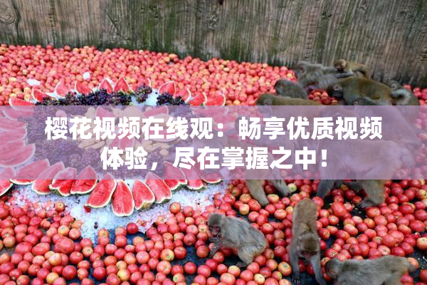 樱花视频在线观：畅享优质视频体验，尽在掌握之中！
