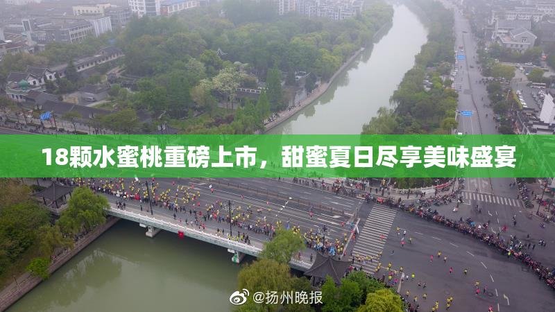 18颗水蜜桃重磅上市，甜蜜夏日尽享美味盛宴