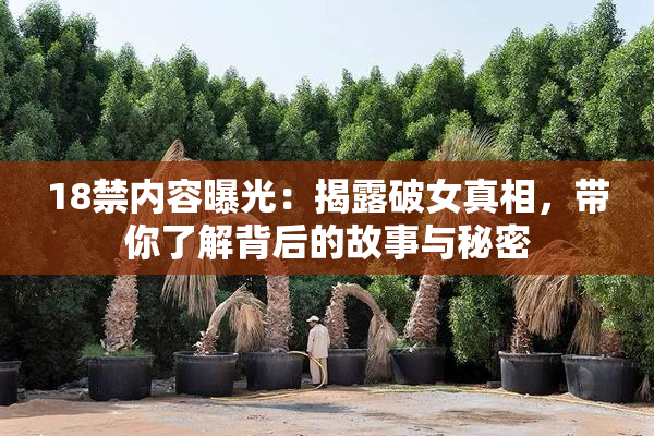 18禁内容曝光：揭露破女真相，带你了解背后的故事与秘密