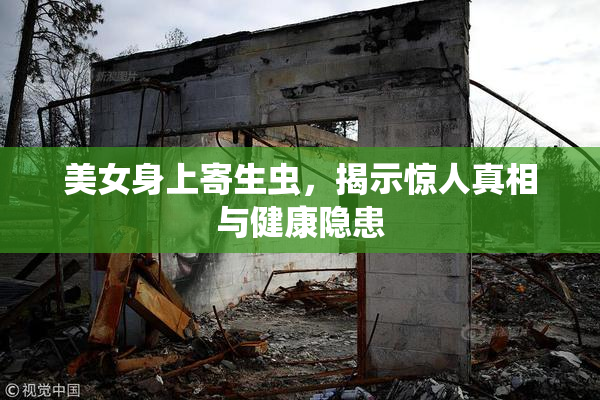 美女身上寄生虫，揭示惊人真相与健康隐患