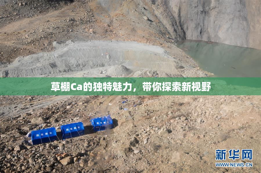 草棚Ca的独特魅力，带你探索新视野