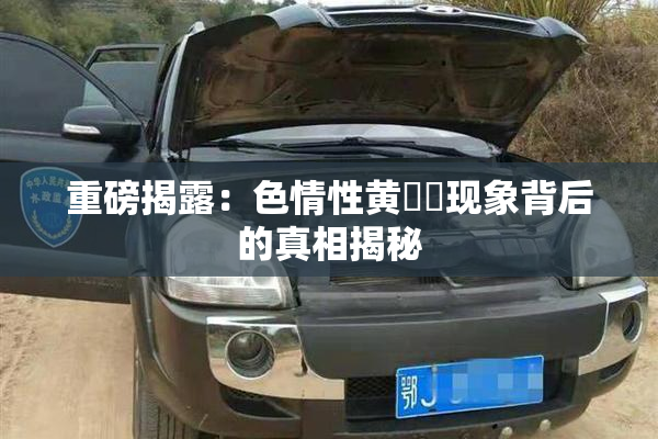 重磅揭露：色情性黄❌‌现象背后的真相揭秘
