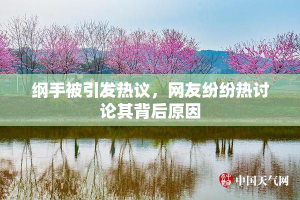 纲手被引发热议，网友纷纷热讨论其背后原因