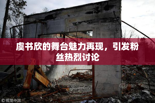 虞书欣的舞台魅力再现，引发粉丝热烈讨论