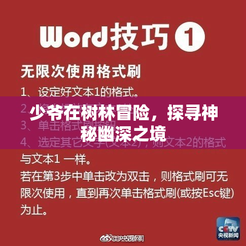 少爷在树林冒险，探寻神秘幽深之境