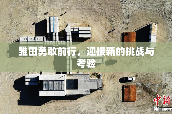 雏田勇敢前行，迎接新的挑战与考验