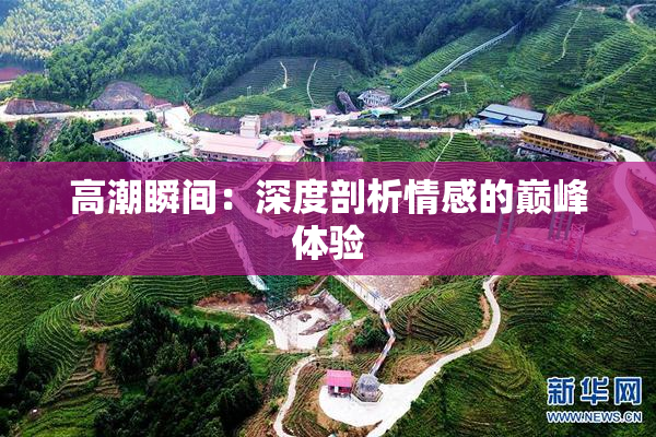 高潮瞬间：深度剖析情感的巅峰体验