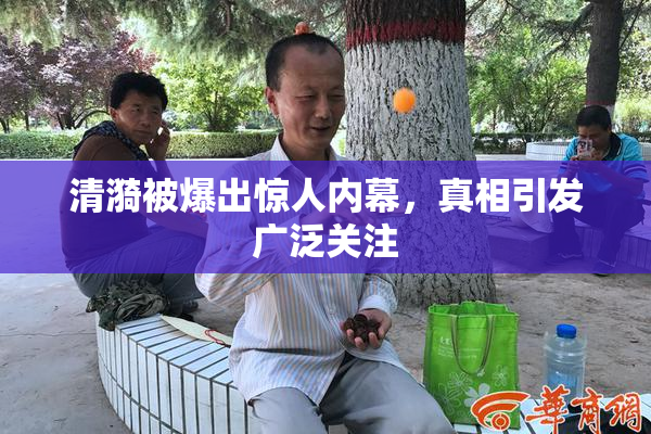 清漪被爆出惊人内幕，真相引发广泛关注
