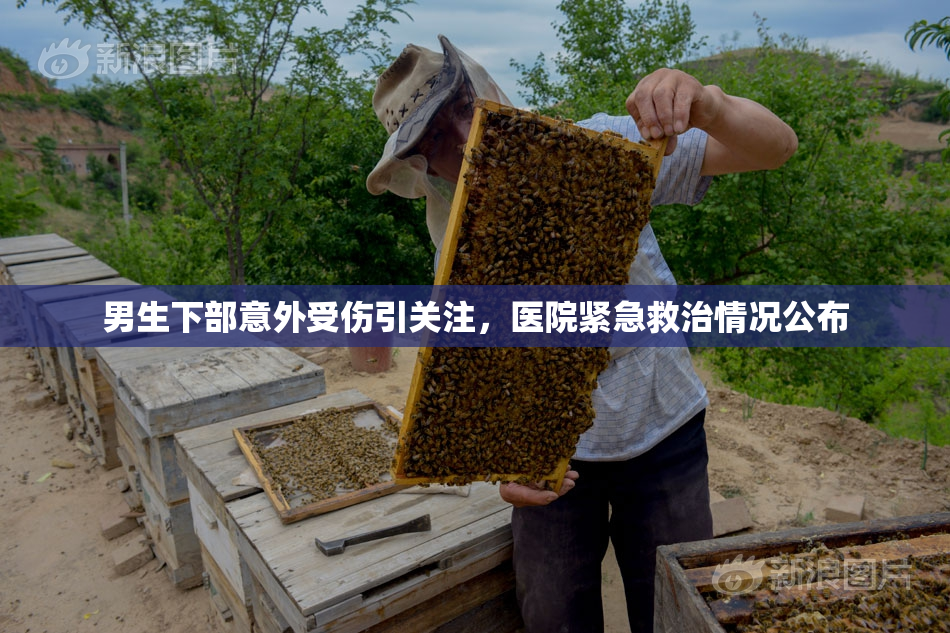 男生下部意外受伤引关注，医院紧急救治情况公布