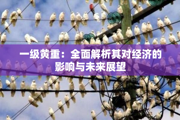 一级黄重：全面解析其对经济的影响与未来展望