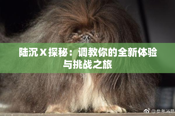 陆沉Ⅹ探秘：调教你的全新体验与挑战之旅