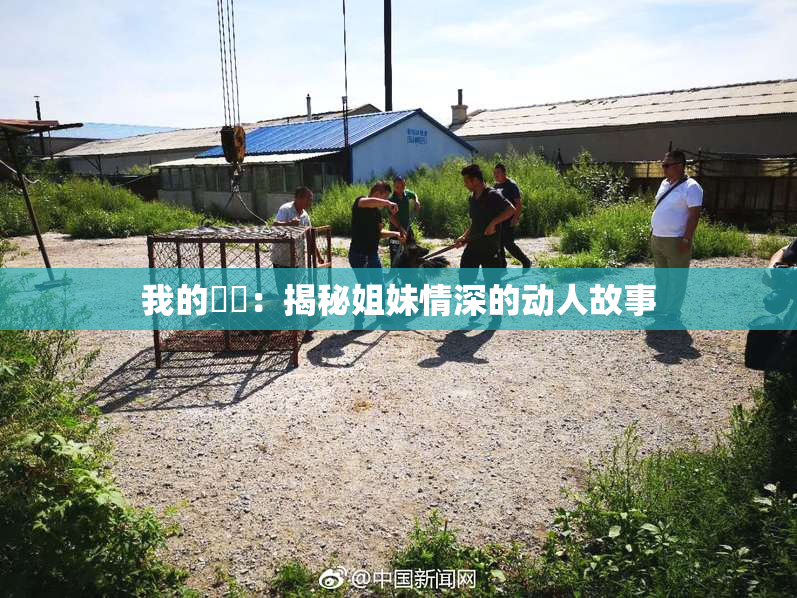 我的妺妺：揭秘姐妹情深的动人故事