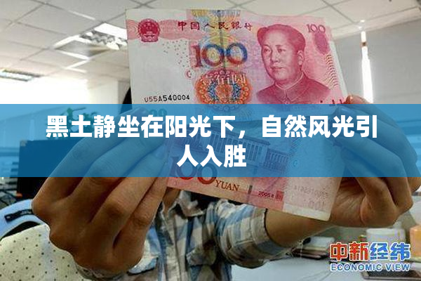 黑土静坐在阳光下，自然风光引人入胜
