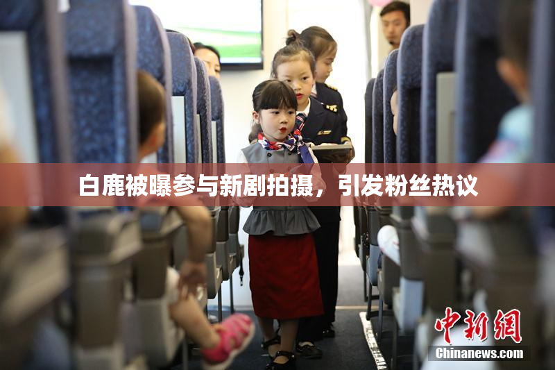 白鹿被曝参与新剧拍摄，引发粉丝热议