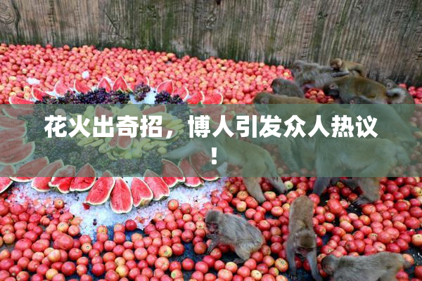花火出奇招，博人引发众人热议！