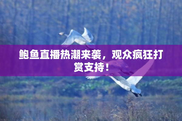 鲍鱼直播热潮来袭，观众疯狂打赏支持！