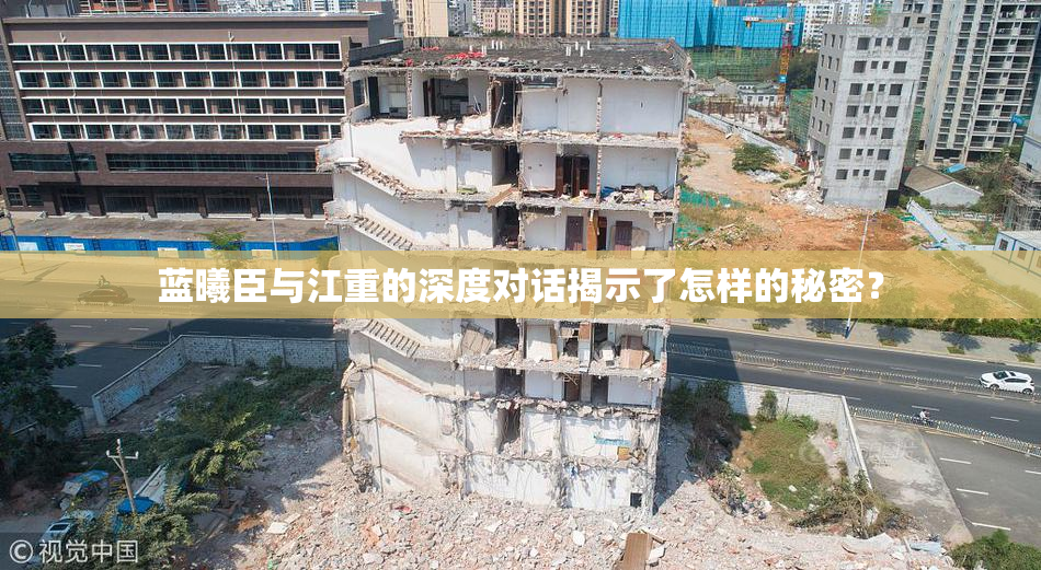 蓝曦臣与江重的深度对话揭示了怎样的秘密？