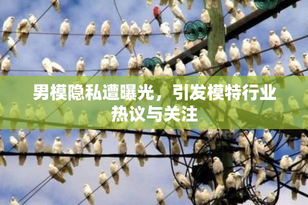 男模隐私遭曝光，引发模特行业热议与关注