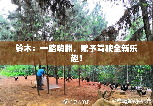 铃木：一路嗨翻，赋予驾驶全新乐趣！