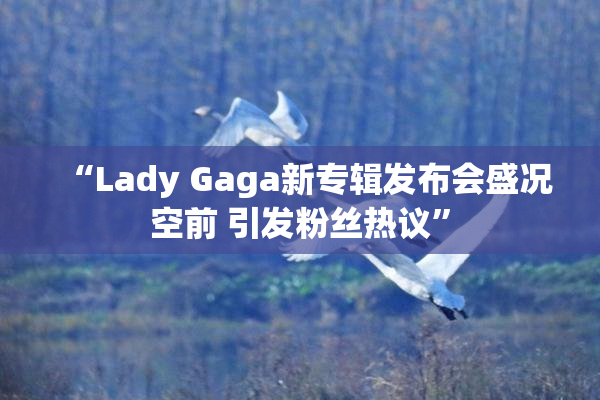 “Lady Gaga新专辑发布会盛况空前 引发粉丝热议”