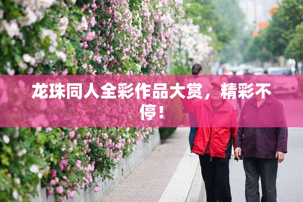 龙珠同人全彩作品大赏，精彩不停！