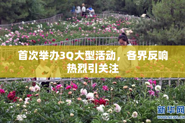 首次举办3Q大型活动，各界反响热烈引关注