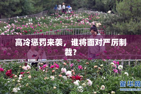 高冷惩罚来袭，谁将面对严厉制裁？