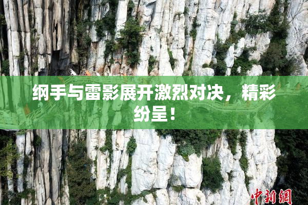 纲手与雷影展开激烈对决，精彩纷呈！