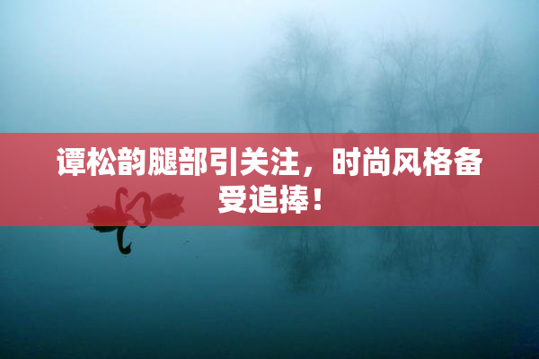 谭松韵腿部引关注，时尚风格备受追捧！