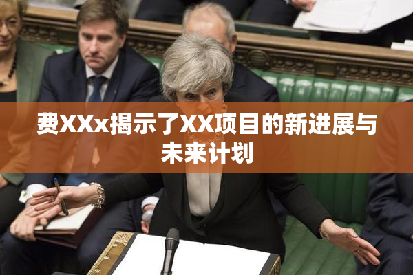 费XXx揭示了XX项目的新进展与未来计划
