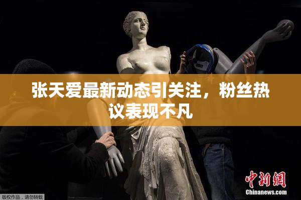 张天爱最新动态引关注，粉丝热议表现不凡